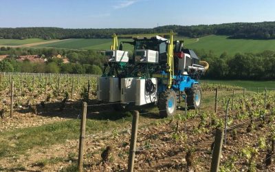 Protégez vos vignes contre le gel de printemps