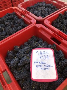 pressurage-raisin-champagne-pinots-vendanges-prestation-viticole