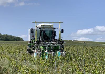 uv-boosting-odium-mildiou-champagne-fongicide-stimulation-uv-boosting-cote-des-blancs-wm-presta-tracteur-electrique-t4e-portrait