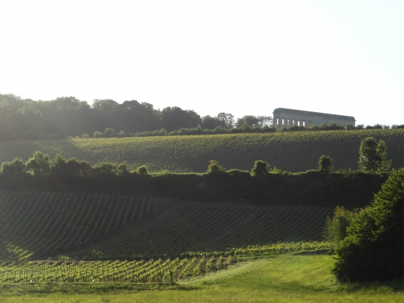 vignes-chateau-thierry-ville-c-chateau-thierry