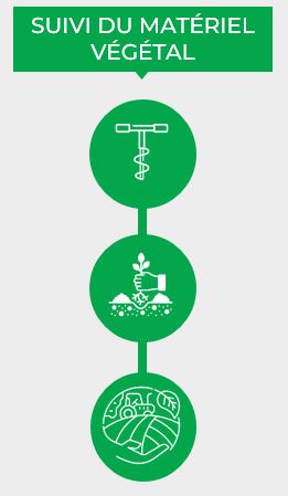 wm-pepiniere-suivi-materiel-vegetal-plantation-entreplantation-champagne