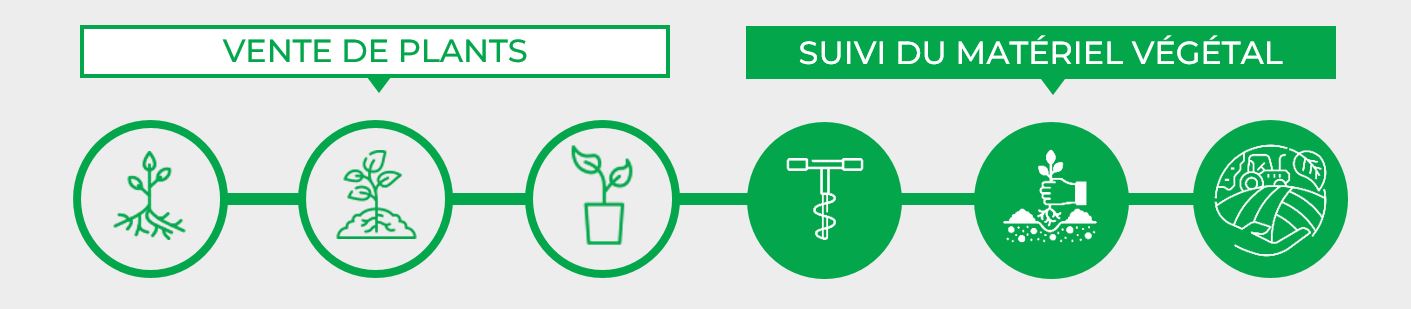 wm-pepiniere-vente-plant-suivi-materiel-vegetal-plantation-entreplantation-champagne