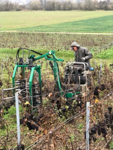 wm-presta-egrainage-champagne-vendange-raisin-chenillard