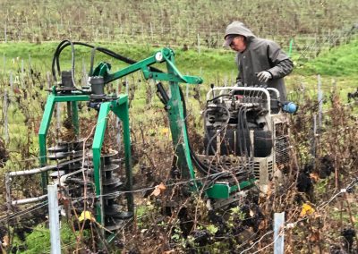wm-presta-egrainage-champagne-vendange-raisin-chenillard