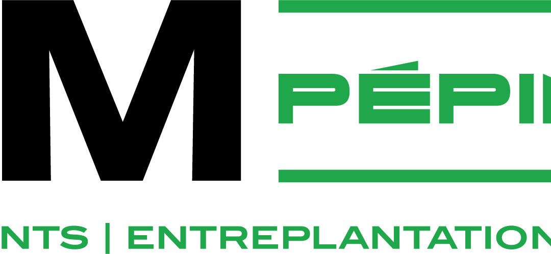 wm-pepiniere-vente-plant-entreplantation-plantation-champagne