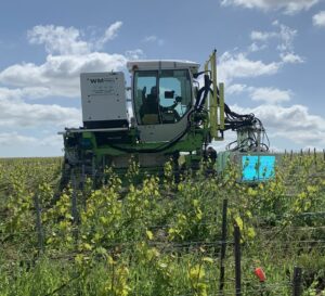 stimulation-uv-boosting-champagne-marne-protection-vigne-mildiou-oidium-gel