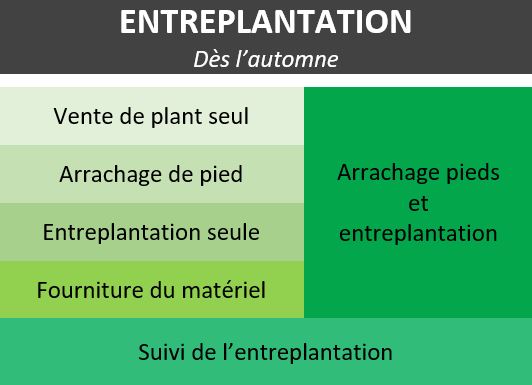 entreplantation-marne-champagne-cepage-racine-nue-motte-plant-WM-pepiniere