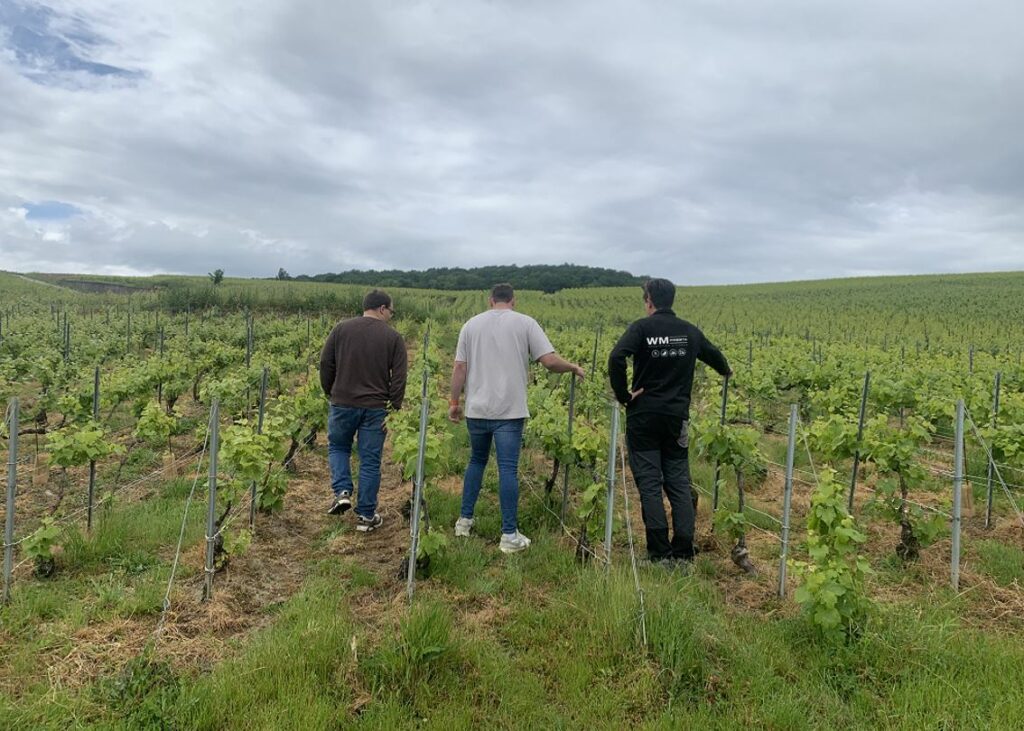 audit-mutualise-marne-aisne-wm-presta-certification-hve-label-vdc-haute-valeur-environnementale-viticulture-durable-champagne