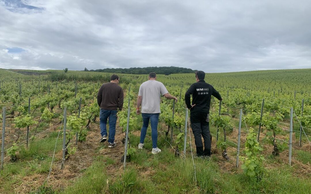 100% de réussite à la certification HVE – VDC en audit mutualisé avec WM Presta