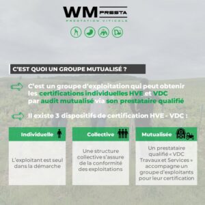dispositifs-audit-mutualise-marne-aisne-wm-presta-certification-hve-label-vdc-haute-valeur-environnementale-viticulture-durable-champagne