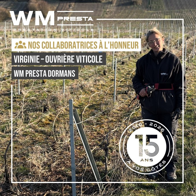 viticulture-durable-vignoble-economie-circulaire-champagne-hebergement