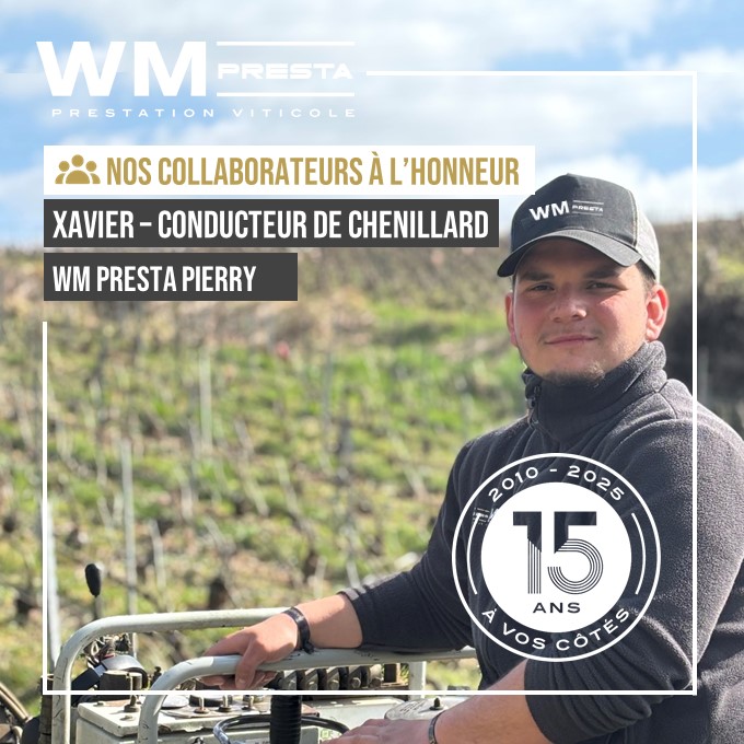 viticulture-durable-vignoble-economie-circulaire-champagne-hebergement