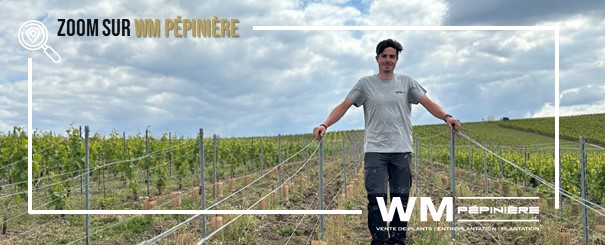 À la découverte de WM Pépinière : là où la vigne prend racine