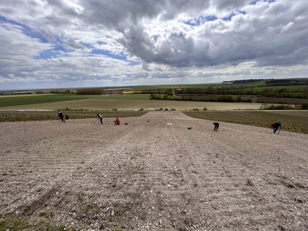 plantation-vignes-semi-larges-wm-pepiniere