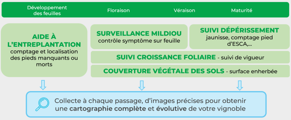 suivi-analyse-au-fil-des-saisons-chouette-wm-presta
