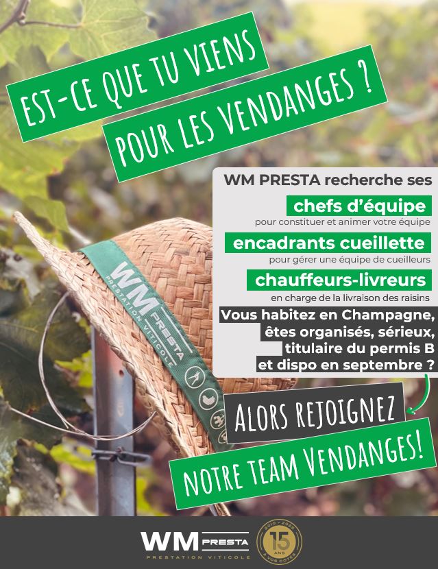 vendanges-champagne-vigne-wm-presta-prestataire-viticole